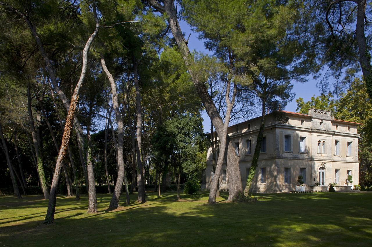Chateau Sainte Colombe Bed and Breakfast Eksteriør billede
