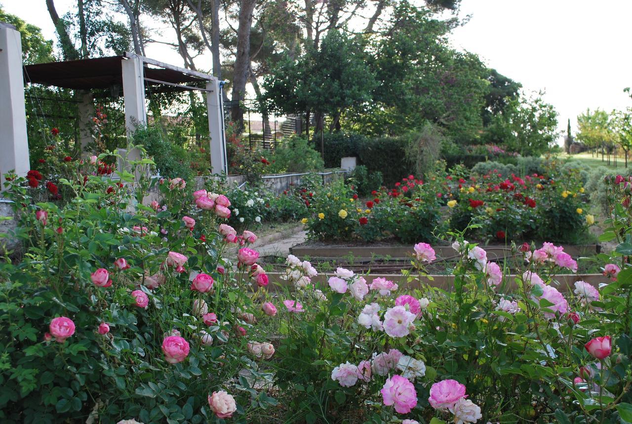 Chateau Sainte Colombe Bed and Breakfast Eksteriør billede